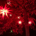  Suche Wohnung für Obdachlosen in 01968 Senftenberg